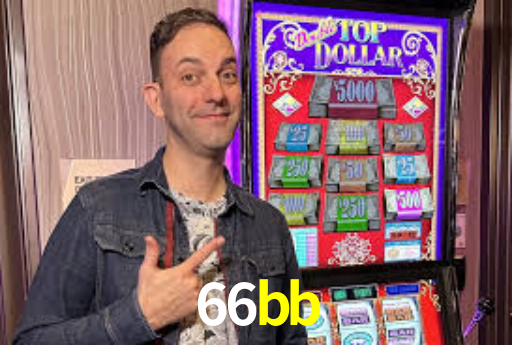 Interface Premium 66bb